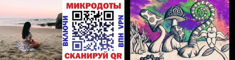 где найти   Нижние Серги  Галлюциногенные грибы Psilocybine cubensis 